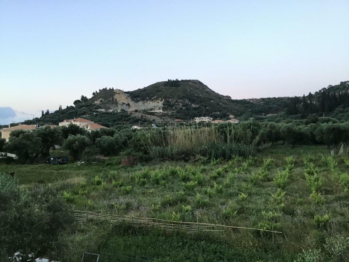 Apartmán Summer - Zakynthos!! *